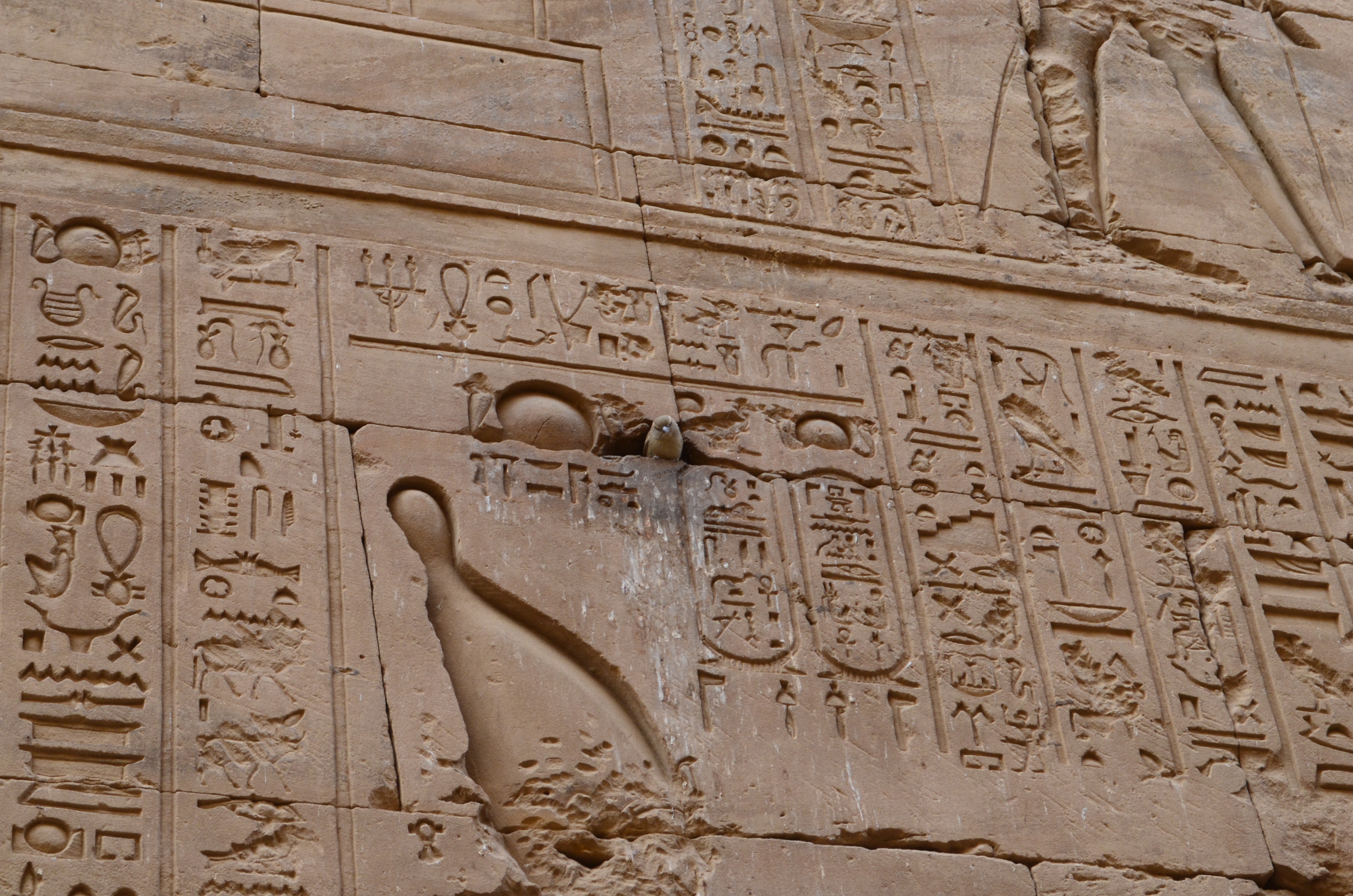 ./2018/16 - Egypt/11 - Edfu/DSC_0944.JPG